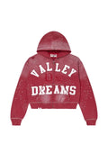 Vale Classico zip-up hoodie